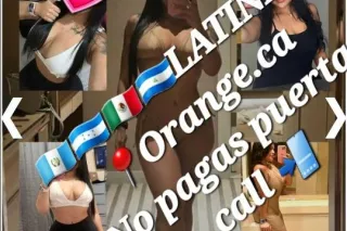 💗♦💗♦💗♦💗♦ AVAILABLE ♦💗♦💗♦💗♦💗 - ... - Image 1