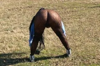 DaDon DaDon 2GIRL SPECIAL 🤗 - Image 8