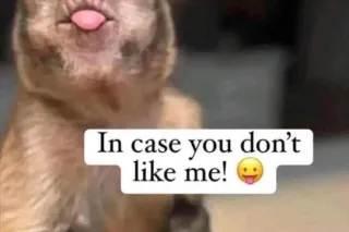 ASIAN BBW MILF💋GOOD THROAT🍆💦INCALL ONLY(WEST) YES IM REAL💯 - Image 6