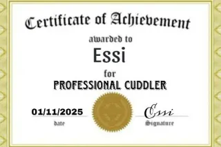 Dream Weavers (Essi Profession... - Image 3