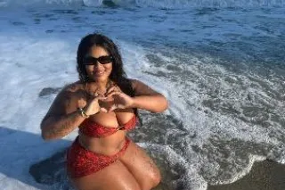 pent house pet - 24 - Image 4