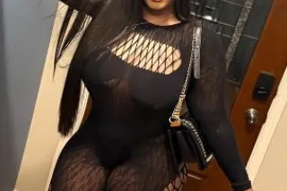 pent house pet - Image 6