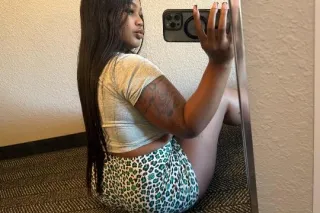 pent house pet - Image 7