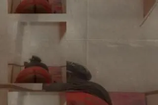 BBW!! 👅👅🍆(Incall and cardate) ... - Image 2