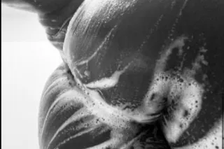 6'2 HAVE YOU EVER HAD A STALLI... - Image 4