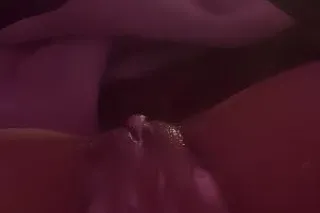 honeybee🐝🍯🍯🍯 in town today onl... - Image 1