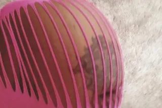 Please Read.. The Real Throatz... - Image 1