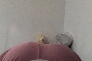 EXOTIC PLAYMATE CUM HIT THE JA... - Image 4