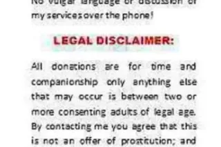 SWF Home Alone, Professional, ... - Image 1