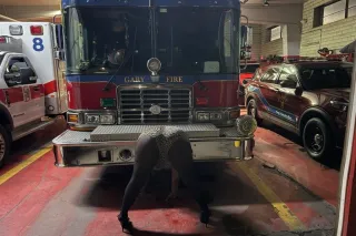 Available Now - 30 - Image 4