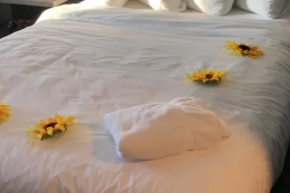 Hot Erotic Sensual/Nuru Massag... - Image 3