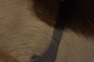 😝CAR PLAY , GOOD BJ , THROAT G... - Image 3