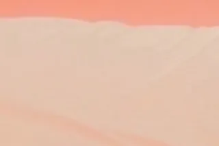 COME HAVE SOME FUN AND GET RIG... - Image 2