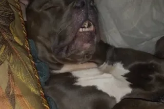 ☃SNOW IS COMING!❄⏰Book with me now i will be unavaible Fri to Sun!!💎 DEALS STARTING NOW TILL SNOW HITS! ❄🛑 NO SHOWS WILL NOT GET ANOTHER CHANCE WITH ME THEY WILL BLOCKED ! - Image 5