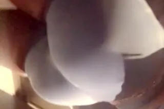 southern delight - 32 - Image 3