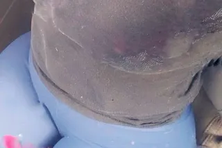 🌸 Updated Availability – Book Your Body Rub - Image 2