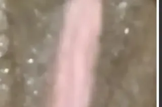 COME SLIP N SLIDE IS THIS WET ... - Image 1