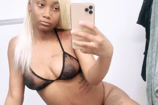 Your Classy Exotic Black Stall... - Image 2