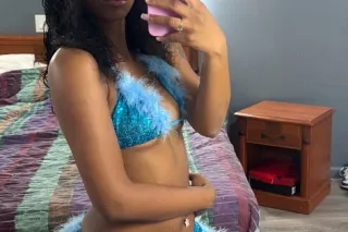 Your Classy Exotic Black Stall... - Image 1