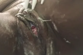 deep massage - 28 - Image 2