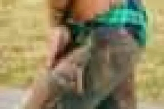 Asian persuasion - Image 2