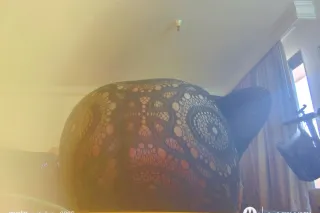 DAYTIME GETAWAY TREAT YOURSELF... - Image 1