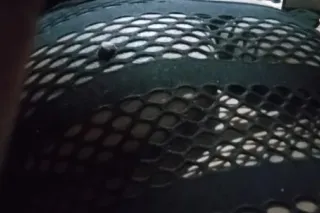 I Aim To Please - 42 - Image 1