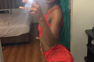 🦩🦩🦩 - 22 - Image 3