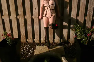 Early Bird 🐦 Gets The Bunny 🐇.... - Image 2