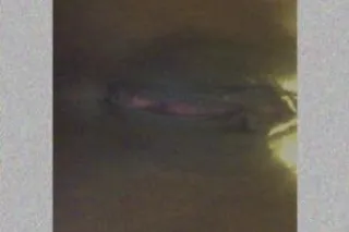 LET ME SATISFY YOU 💦 💦💦 - 28 - Image 1