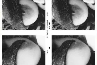 ✨Let's escape together into to... - Image 3