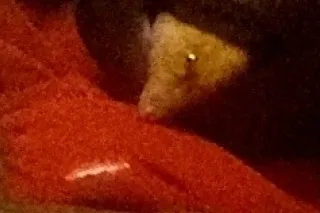 New👯♀NEW✅LOCATION👌🏽🍭CANDY🍭LAND🍭PRESENTS🎬QUEEN👸🏾OF👸🏾DESIRES👸🏾✅CUMM💦CUMM💎💦full💎body💎massage💎w💎happy💎endings💎🍭👯♀💯👸🏾🐝✅AVAILABLE💦💦🍭 - Image 11