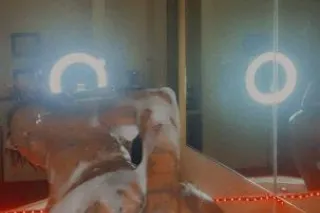 QV & HHR SPECIAL🌸🌸🌸🌸NEW FRESH TIGHT WET PUSSY IN TOWN💕💕💕💕 - Image 8