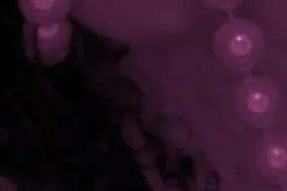 Ready to Rox and Roll in the H... - Image 4