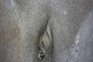 ms. WET WET - 25 - Image 1