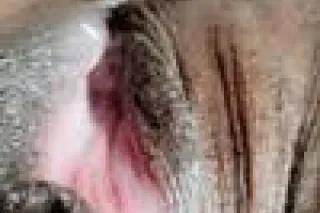 PARTYGIRL LOOKING FOR A VIBE !... - Image 1