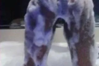 AVAILABLE NOW PICK UP OUT CALL NO GAMES NO DRAMA - Image 5