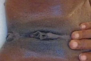 sunshine - 27 - Image 4