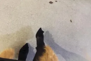 READ DONT JUST CLICK 50$ Depos... - Image 3