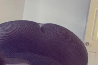 Thick Ass Cute face Big Dick P... - Image 1