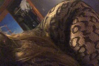 A ASS YOU WONT FORGET ! ENJOY EVERY MOMENT BIG PLEASER ! BBW LIKE NO OTHER ! - Image 7