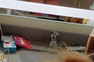 🔥New Orleans Main Attraction 🔥... - Image 1