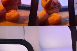 Milli😏❤💵 - 24 - Image 1