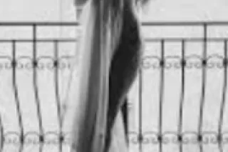 Ziva CMT - 34 - Image 2