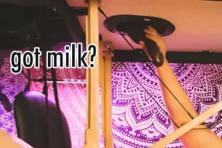 MILKING TABLE MOUTHY MASSAGE- ... - Image 2