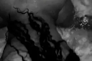 150qv 300 hhr 600 hr - 20 - Image 2