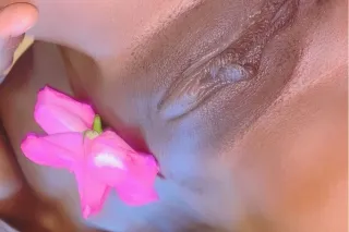 Pussy Fairy. Cream of the Crop!!! African Creme Brulee - Image 5