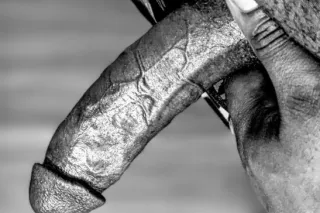 attention all kinksters !!!!! - Image 6