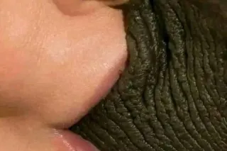 TOP ONLY AD 60🌹 ⛽ Needed - 27 - Image 2