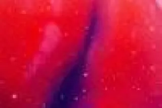 Head n pussy specials incall o... - Image 1